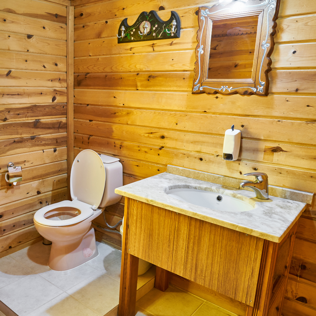 wooden bathroom with toilet sink and mirror